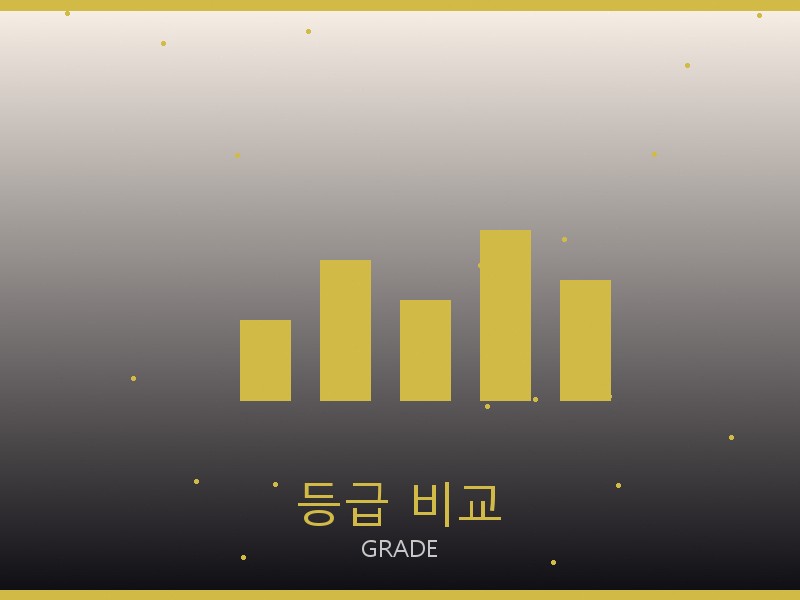 미우미우 파파라초 미디엄 탑핸들 레플 사이트 등급 기준 비교